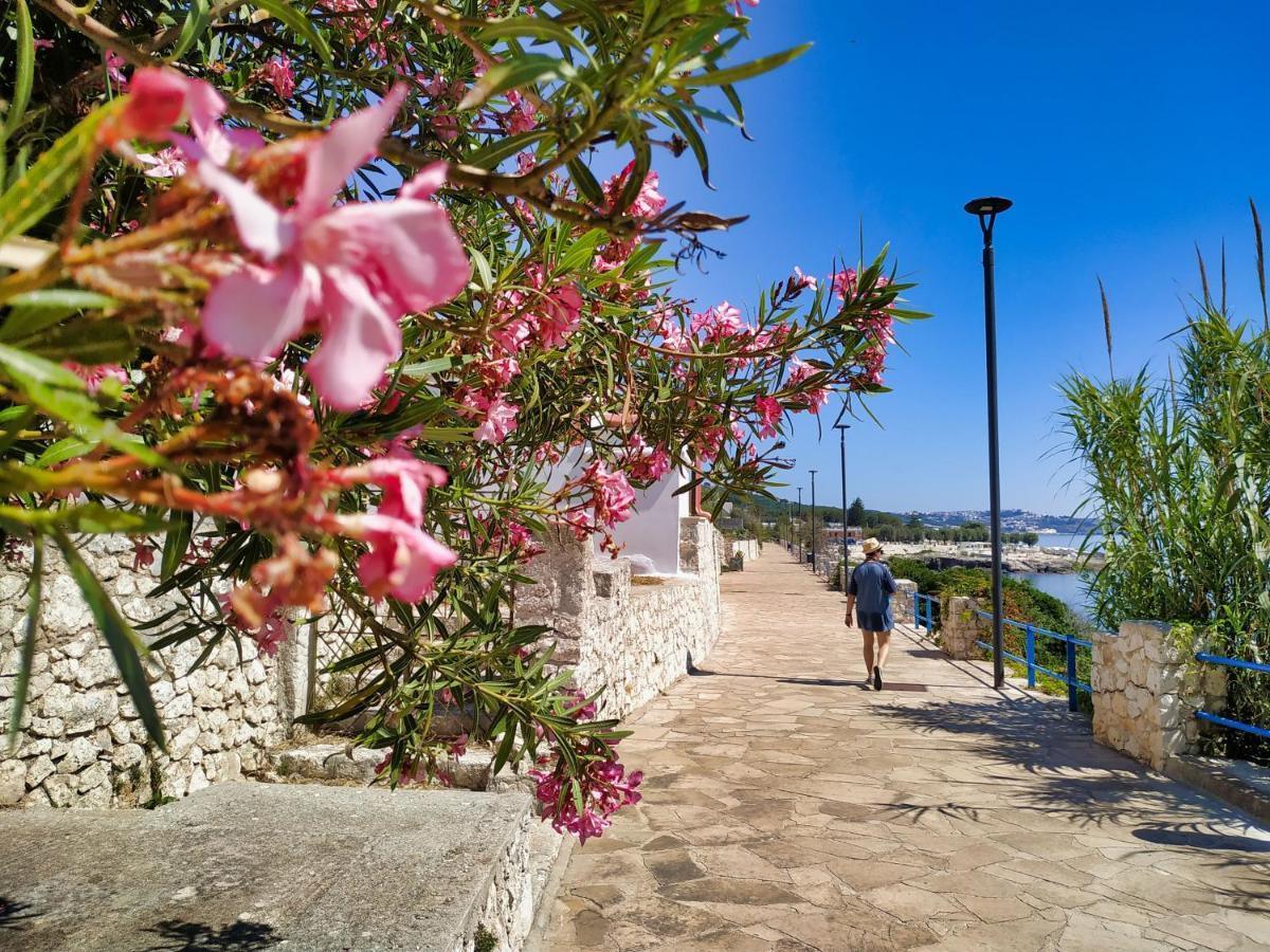 Villa Marina Di Andrano - Alisso, Casa Vista Mare Con Parcheggio Privato E Wifi Exterior foto