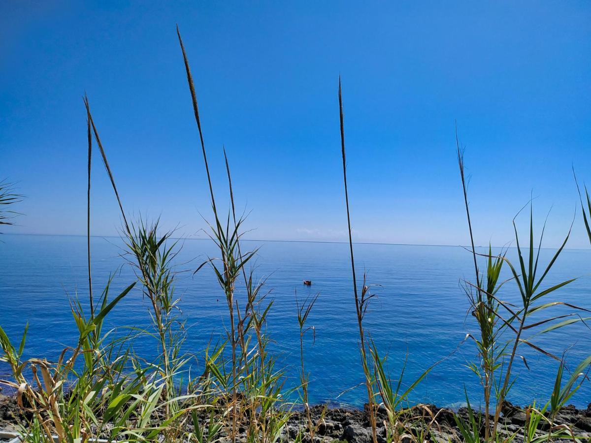 Villa Marina Di Andrano - Alisso, Casa Vista Mare Con Parcheggio Privato E Wifi Exterior foto